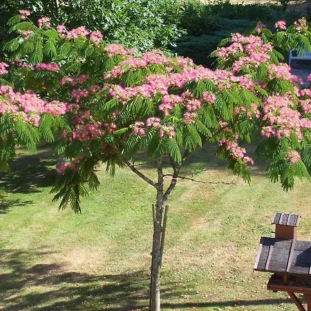 Bed & Breakfast Les Chenes Le-Vieux-Cerier